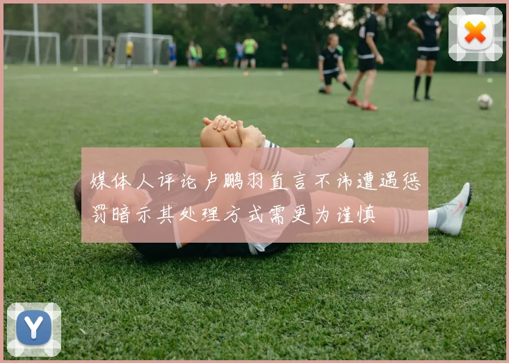 媒体人评论卢鹏羽直言不讳遭遇惩罚暗示其处理方式需更为谨慎