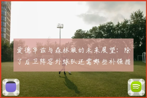 爱德华兹与森林狼的未来展望：除了后卫阵容外球队还需哪些补强措施