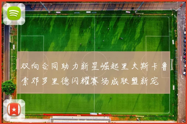 双向合同助力新星崛起里夫斯卡鲁索邓罗里德闪耀赛场成联盟新宠