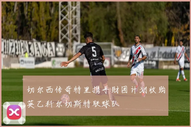 切尔西传奇特里携手财团计划收购英乙科尔切斯特联球队